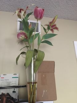 Lily flowers in glass vase