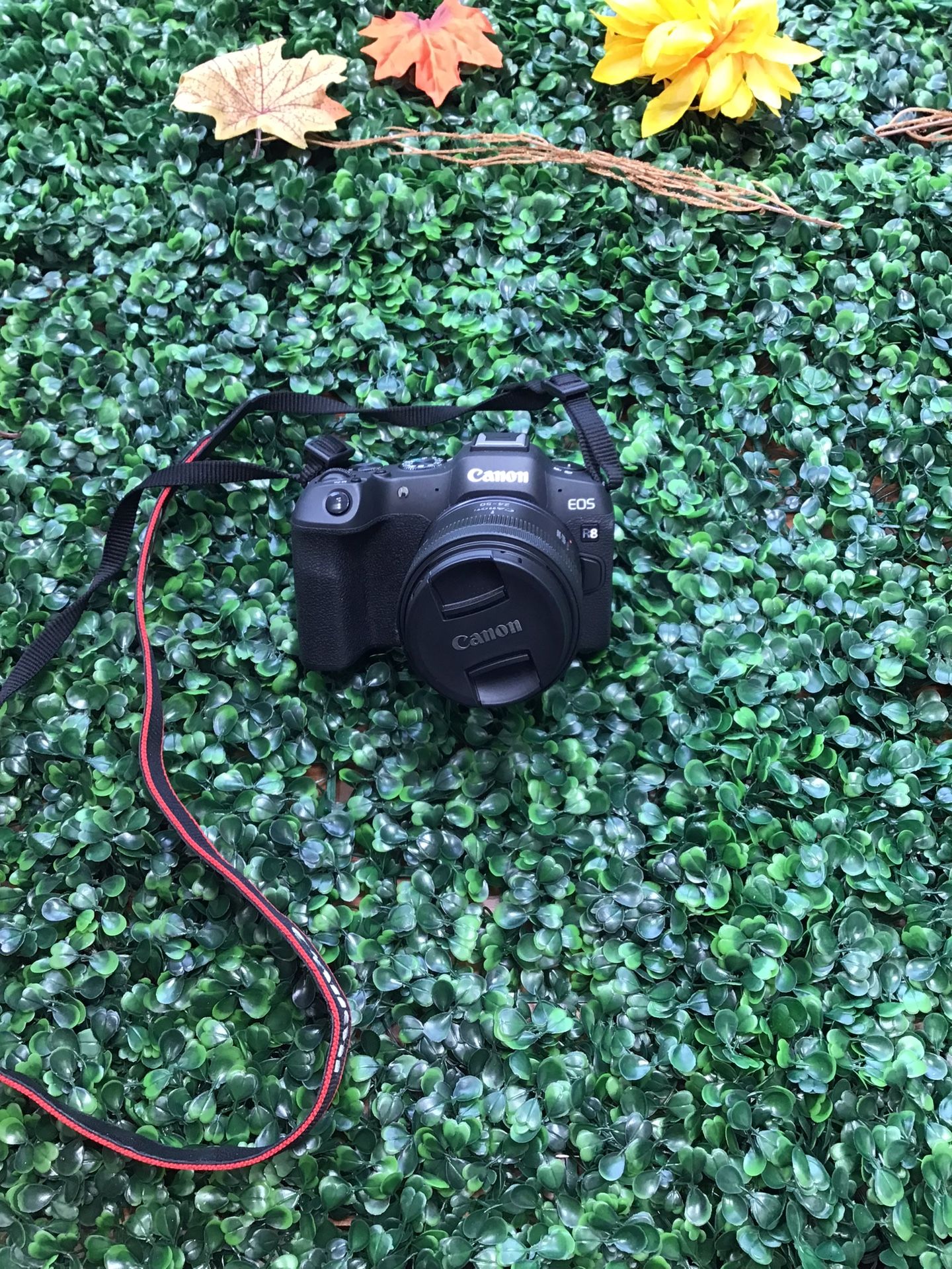 Canon Digital Camera EOS R8