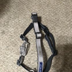 Size Médium Harness 