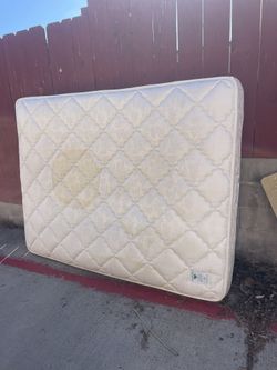 Free Mattress, Pee Stains From My Grandpa From 10 Years Ago Professionally Cleaned Though
