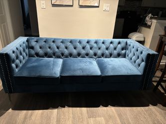 Velvet couch