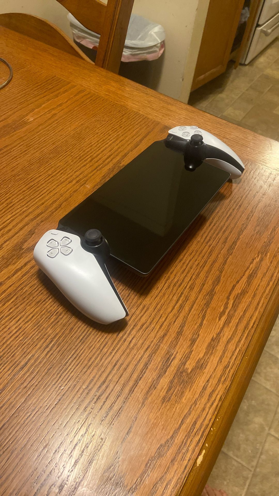 Playstation Portal