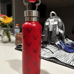 Minnie Mouse Hydroflask