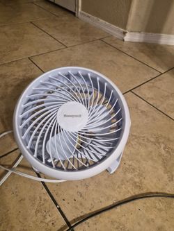 Fans