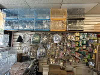 Bird Accessories