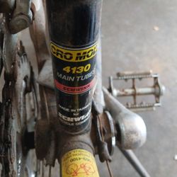 Sears Bike Shwin Bike And Raleigh Bike