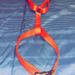 BRAND NEW Small dog harness/leash combo