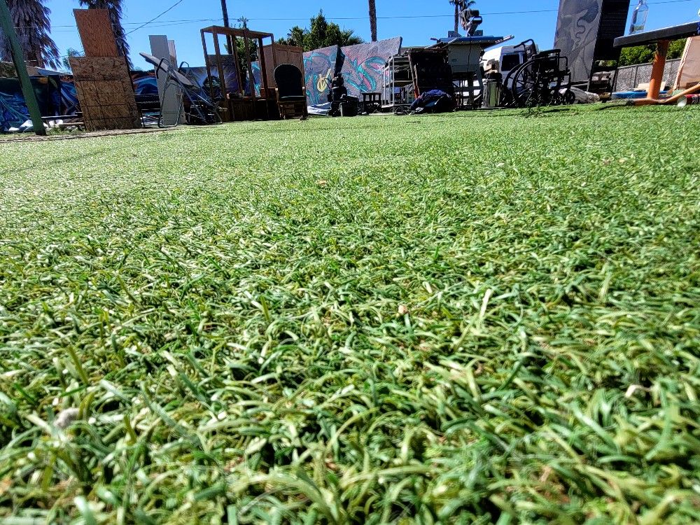 CHEAP ASTRO TURF!