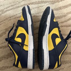Nike Dunk Low Michigan (2021)