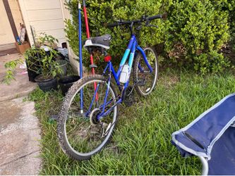 Adult Bicycle