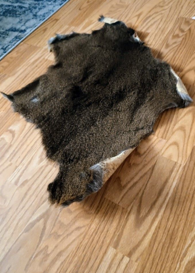 Deer Hide