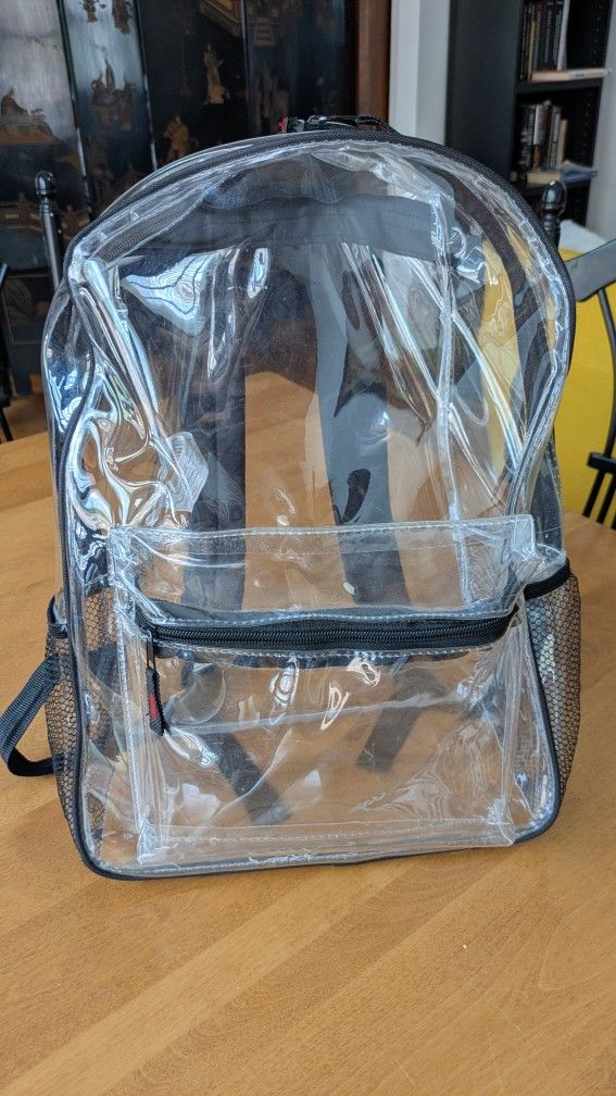 Clear Transparent Backpack