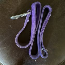 4’ Top Paw Heavy Duty Dog Leash 
