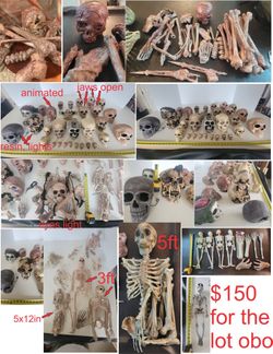 HUGE Halloween Lot Of Skeletons Skulls And Bones Some Diy Corpsed Best Offer