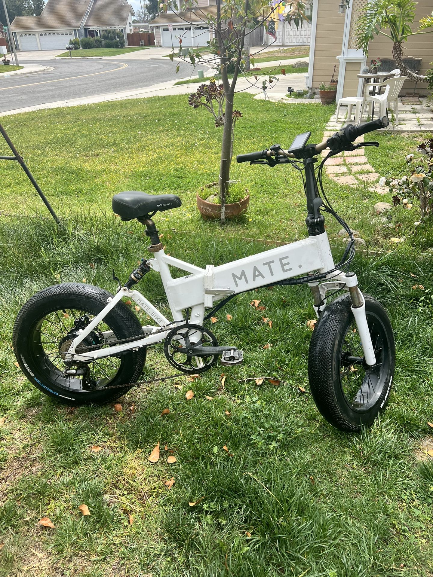 Folding Electric Bike
