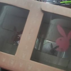 Playboy Glass Cups 