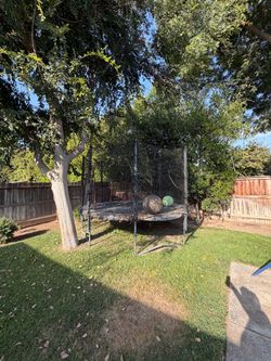 Trampoline