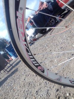 Fixie bike