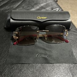 Cartier Sunglasses (Big C Wires)