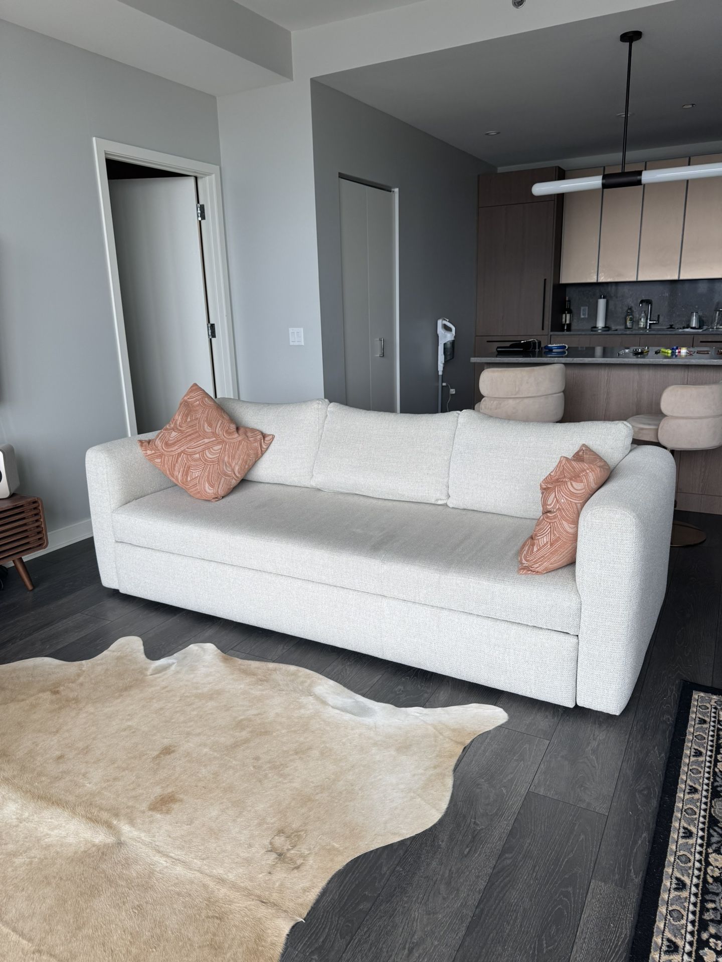 Comfy Couch With Pull Out Bed 