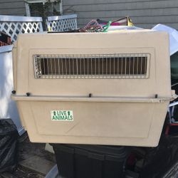Large Dog Crate Little Chew Mark On Back Corner Other Nut In Great Shape Only $50 Takes It Now