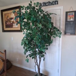 Artifical  Tree , Trees, 8 Ft Tall