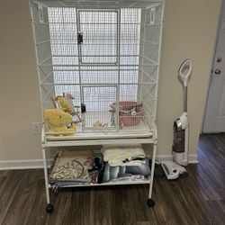 Bird Cage 
