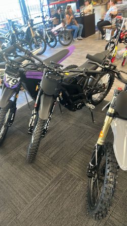 79bike Falcon lite