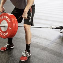 Rogue Landmine And Barbell Landmine Row Handle 