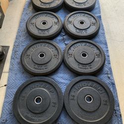 Bumper Weights $1LBS “FIRM”
