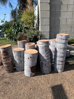 Palm tree stumps (DELIVERY AVAILABLE for extra cost)