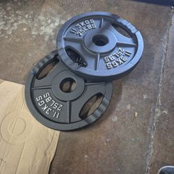 Set of two 25-pound weight plates. I have several sets.