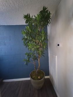 Fake tree