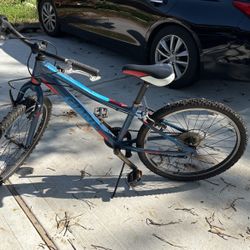 Giant Bike