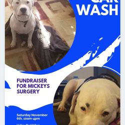 Fundraiser Carwash And Selling My Motorcycle 