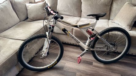 Bicicleta
