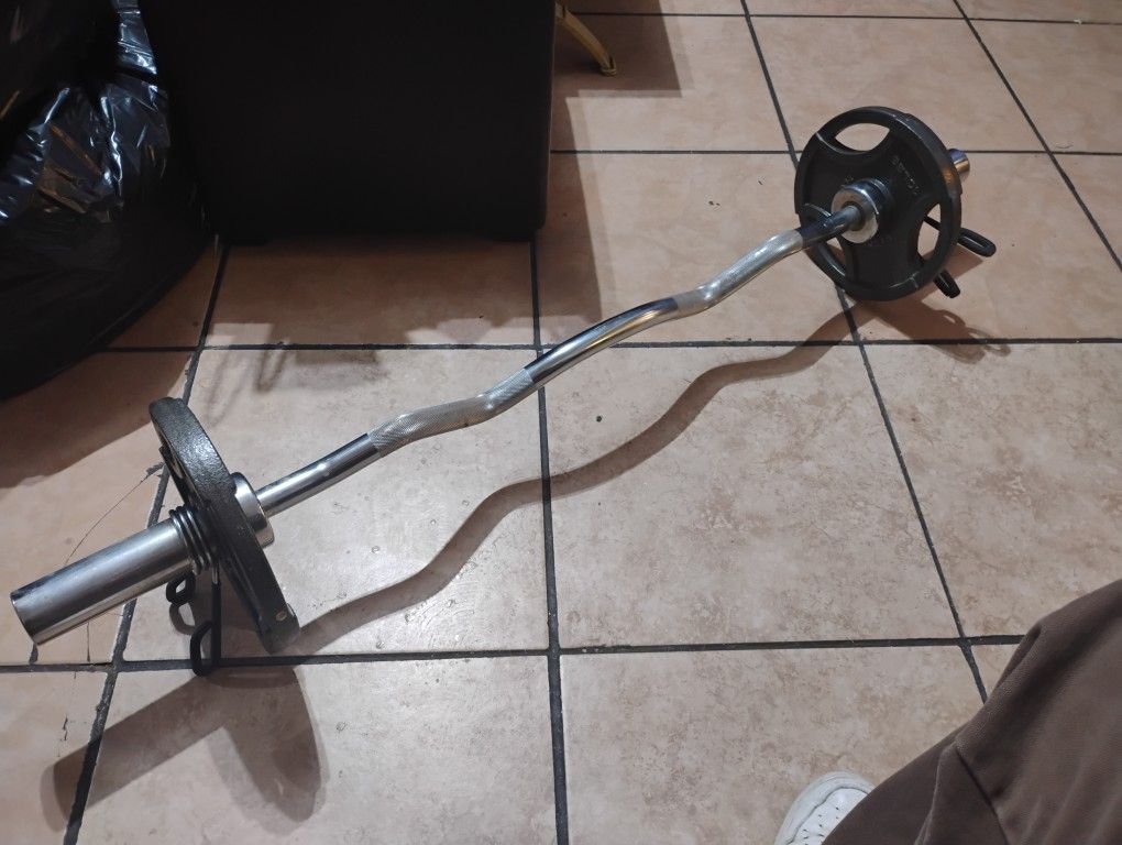 Olympic Curling Bar And 10 Lb Weights $60
