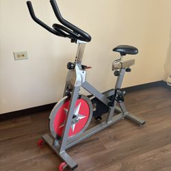 Sunny Exercise Bike 