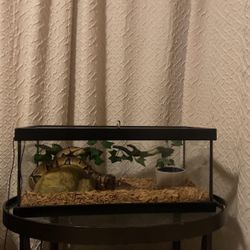 Reptile Cage And  Hide Out Rock ONLY 