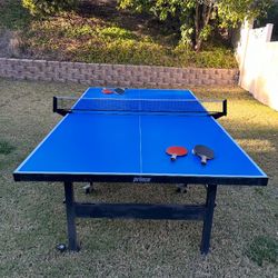 Ping Pong Table