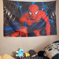 Spider-Man Backdrop