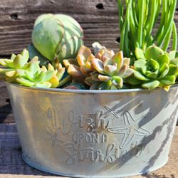 Ocean Themed Succulent Planter 