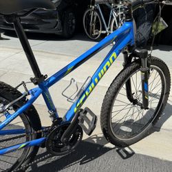 Schwinn Thrasher Bike 
