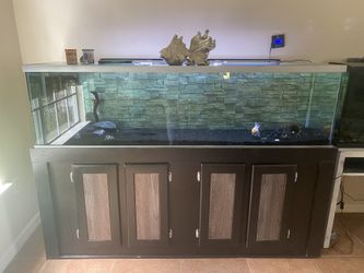 125 Gallon Tank N Stand