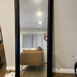Black/Dark Brown Floor Mirror 