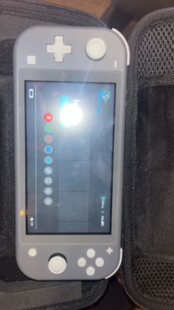 Nintendo switch lite  mod