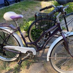 Schwinn lakeshore cruiser 2025