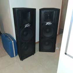 Peavy Big Speakers 