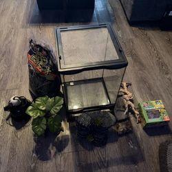 reptile terrarium set up 
