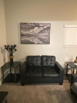 Leather Sofa / LoveSeat / Couch